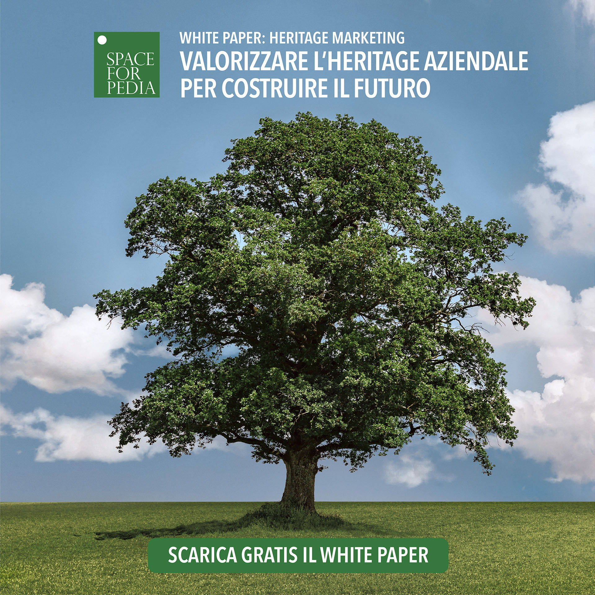 Contenuti editoriali